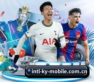 开云体育网页版 APP