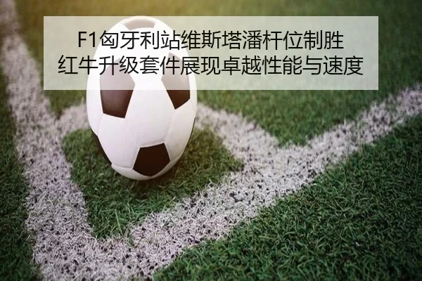xiong-ya-li-zhan-wei-si-ta-pan-gan-wei-zhi-sheng-hong-niu-sheng-ji-tao-jian-zhan-xian-zhuo-yue-xing-neng-yu-su-du-2-437.jpg