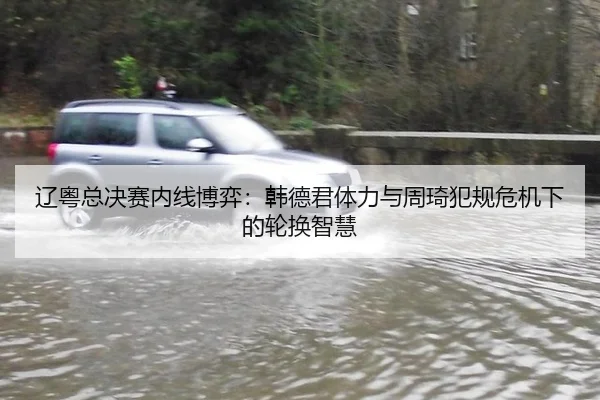 辽粤总决赛内线博弈：韩德君体力与周琦犯规危机下的轮换智慧